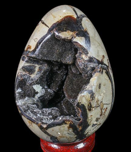 Septarian Dragon Egg Geode - Black Crystals #83393